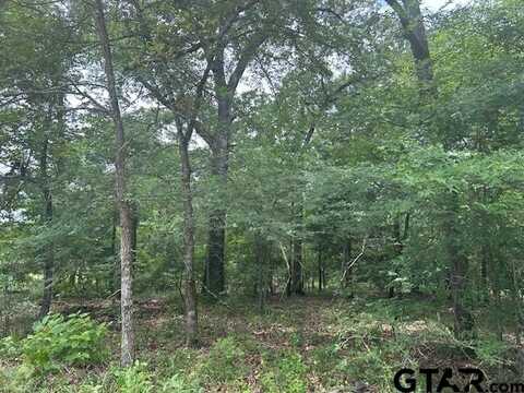 TBD VZCR 1712, Grand Saline, TX 75140