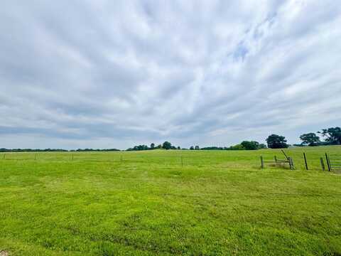Lot 62 CR 2320, Pittsburg, TX 75686