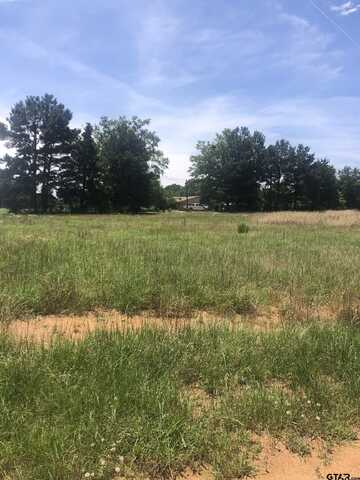 TBD Meadow Lane, Naples, TX 75568