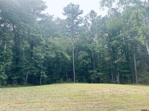TBD Brandon St, Troup, TX 75789