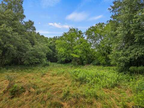 436 Grady Street, Mount Vernon, TX 75457