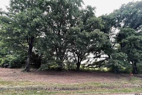 LOT 4 , CR 1560, Alba, TX 75410