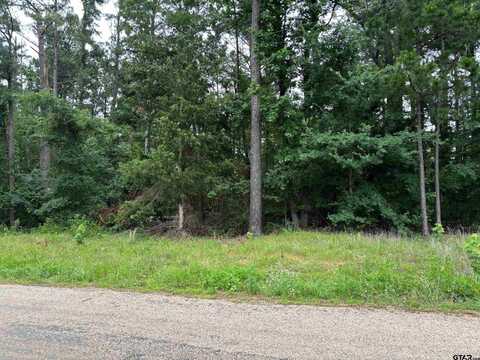 TBD CR 2121, Pittsburg, TX 75686