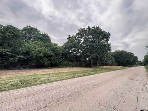LOT 6 , CR 1560, Alba, TX 75410