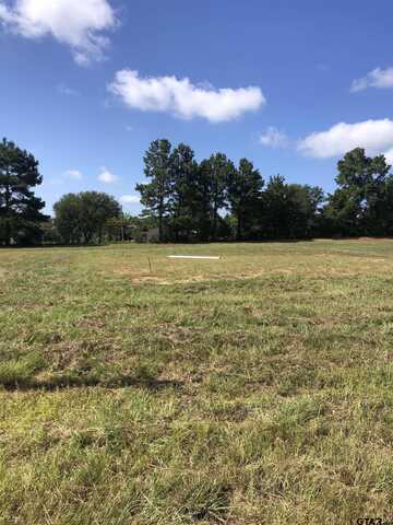 TBD Meadow Lane, Naples, TX 75568