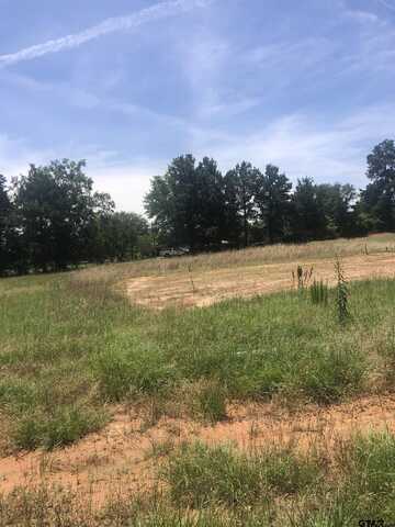 TBD Meadow Lane, Naples, TX 75568