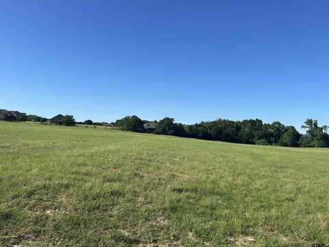 TBD Hickory Oak Dr, Lindale, TX 75771