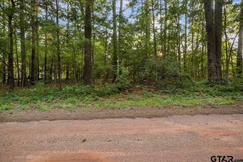 163 San Marcos, Bullard, TX 75757