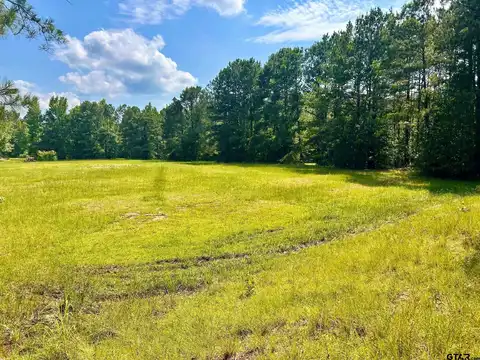 TBD George Ives Road, Marshall, TX 75672
