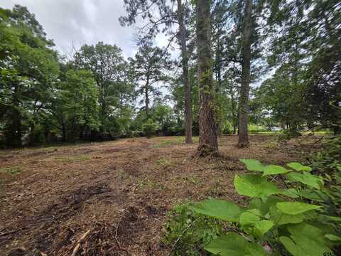 20812 Forest Grove Drive, Chandler, TX 75758
