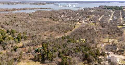 Lot 73 RS County Road 3376, Emory, TX 75440