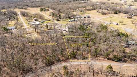 Lot 73 RS County Road 3376, Emory, TX 75440