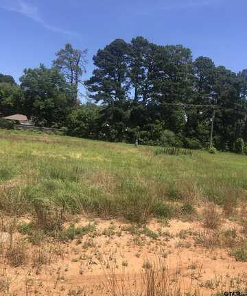 TBD Meadow Lane, Naples, TX 75568