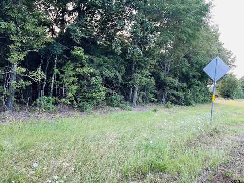TBD US Hwy 259 N, Omaha, TX 75571