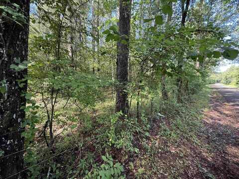 TBD CR 4194 Tr-1, Henderson, TX 75654