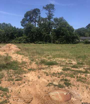 TBD Meadow Lane, Naples, TX 75568