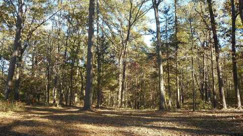 293 PR 8585, Winnsboro, TX 75494