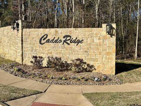 9291 Caddo Ridge Cove, Tyler, TX 75701
