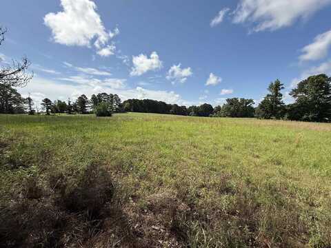 TBD CR 4194 Tr-4, Henderson, TX 75654