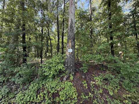 TBD CR 4194 Tr-3, Henderson, TX 75654