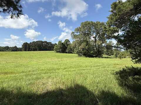 TBD CR 4194 Tr-6, Henderson, TX 75654