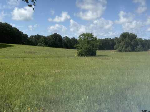 TBD CR 4194 Tr-5, Henderson, TX 75654
