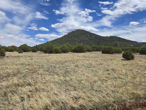 CR 3144, Pinetop/Lakeside, AZ 85935