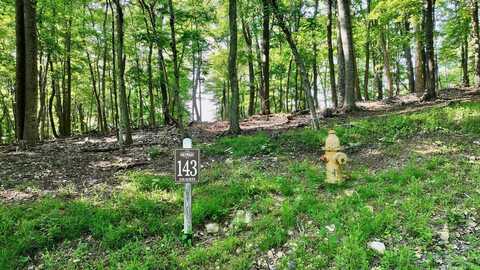 Lot 143 Withrow Lndg, Caldwell, WV 24925