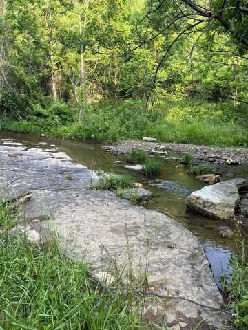 Ellison Ridge Rd, Jumping Branch, WV 25969