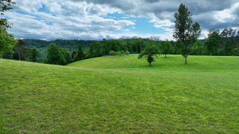 1291 Bella Lakeview Trl, Hinton, WV 25951