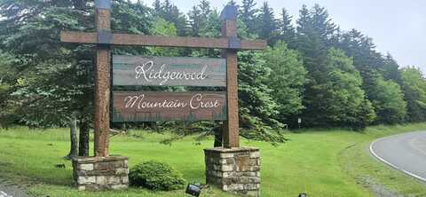 25 Mountain Crest Dr, Snowshoe, WV 26209