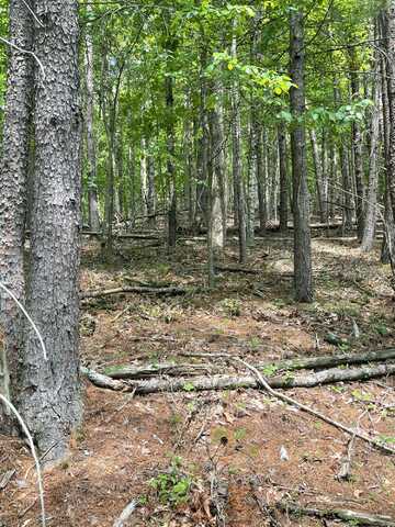 Cove Creek Rd, Sweet Springs, WV 24941