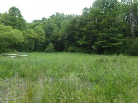 Morris Branch Road, Meadow Bridge, WV 25976