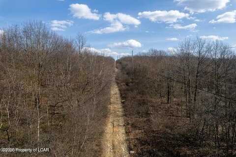 Berry Road, Archbald, PA 18403