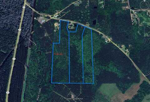 23.01 ACRES, Purvis, MS 39475
