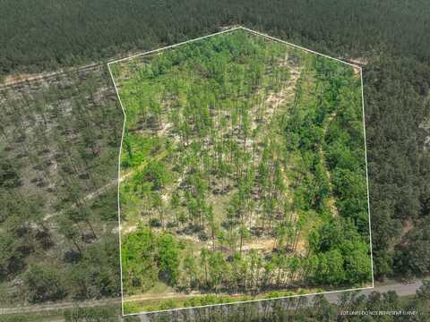 15.84 Acre Crown Zellerback Rd., Lumberton, MS 39455