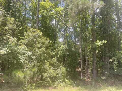 Lot 10 Courtland Dr., Hattiesburg, MS 39402