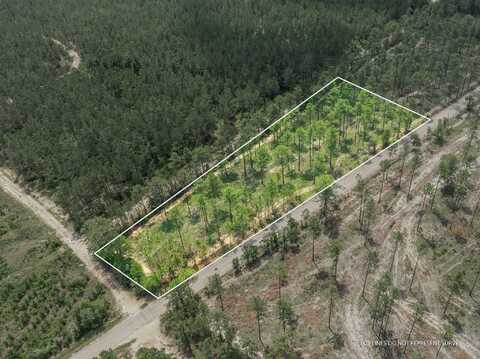 3 Acres Courtney Rd., Lumberton, MS 39455