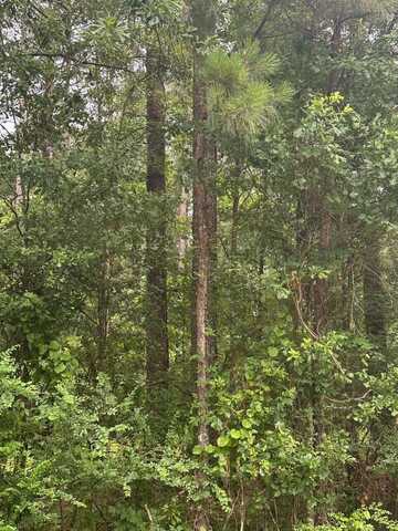 00 Glade Paulding Rd., Laurel, MS 39443