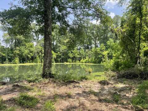 TBD S Frontage, Columbia, MS 39429