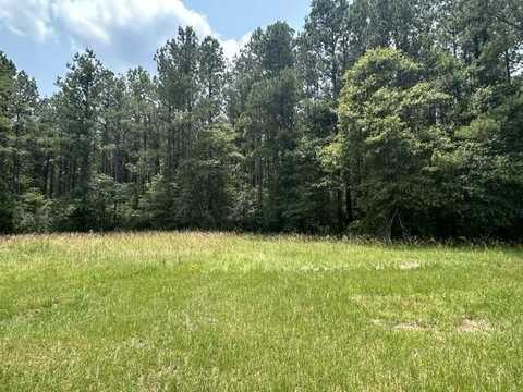 Parcel 5 George Boutwell Rd., Ovett, MS 39464