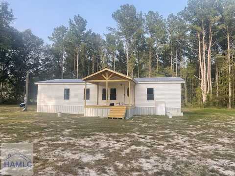 163 Wilds Road NE, Glennville, GA 30427
