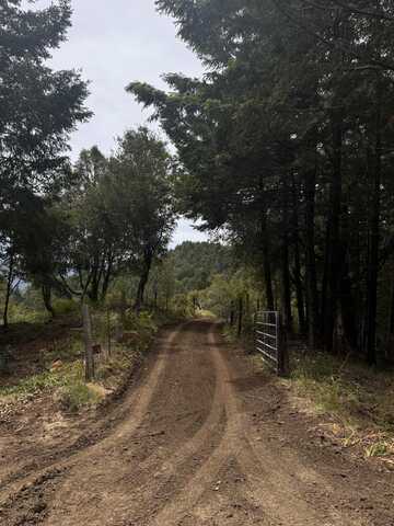 +/- 80 Acres Conklin Creek Road, Mattole, CA 95558