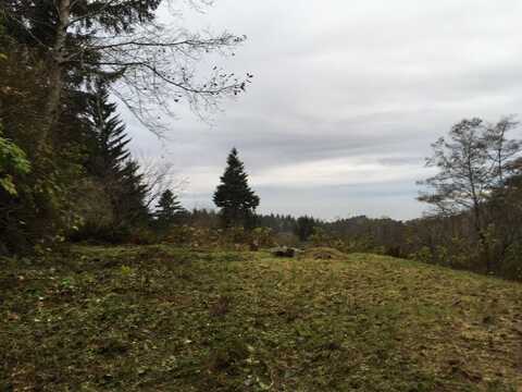 3327 Old State Highway 101, Orick, CA 95555