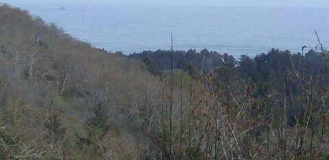 3327 Old State Highway 101, Orick, CA 95555