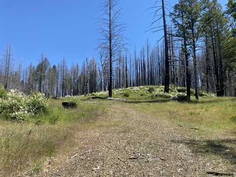 6919 Zenia Lake Mountain Road, Kettenpom, CA 95595