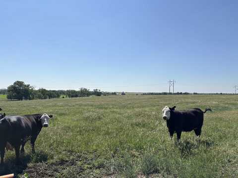 1361 NW 50, Hoisington, KS 67544