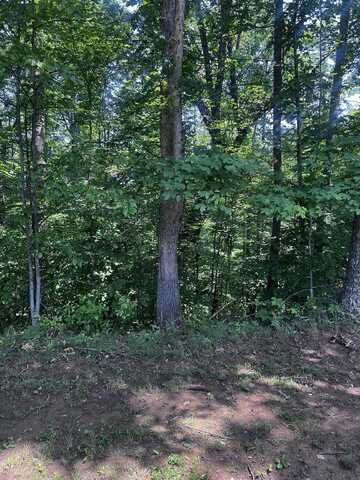 Lt 24 Jericho Road, Ona, WV 25545
