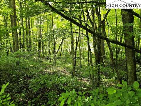 3455 W Mill Creek Road, Warrensville, NC 28693