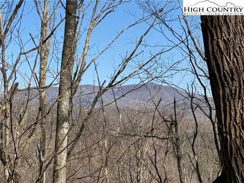 32 Jewel Weed Trail, Newland, NC 28657